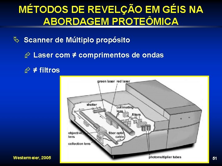 MÉTODOS DE REVELÇÃO EM GÉIS NA ABORDAGEM PROTEÔMICA Ä Scanner de Múltiplo propósito Æ