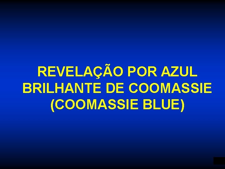 REVELAÇÃO POR AZUL BRILHANTE DE COOMASSIE (COOMASSIE BLUE) 6 