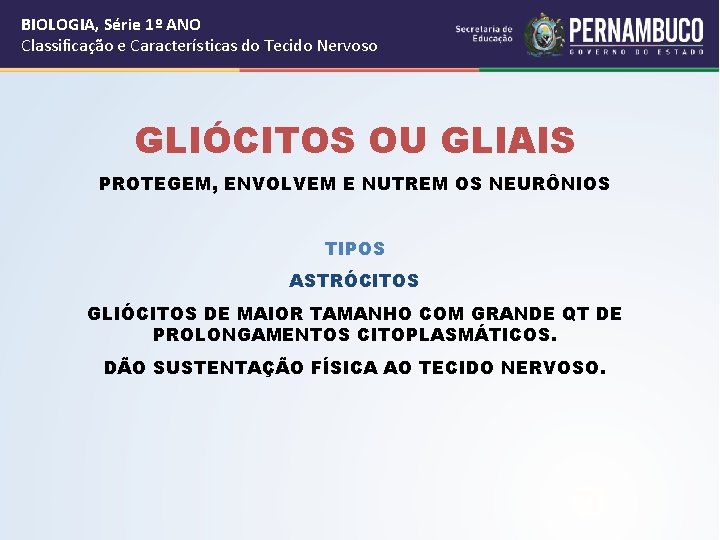 BIOLOGIA, Série 1º ANO Classificação e Características do Tecido Nervoso GLIÓCITOS OU GLIAIS PROTEGEM,