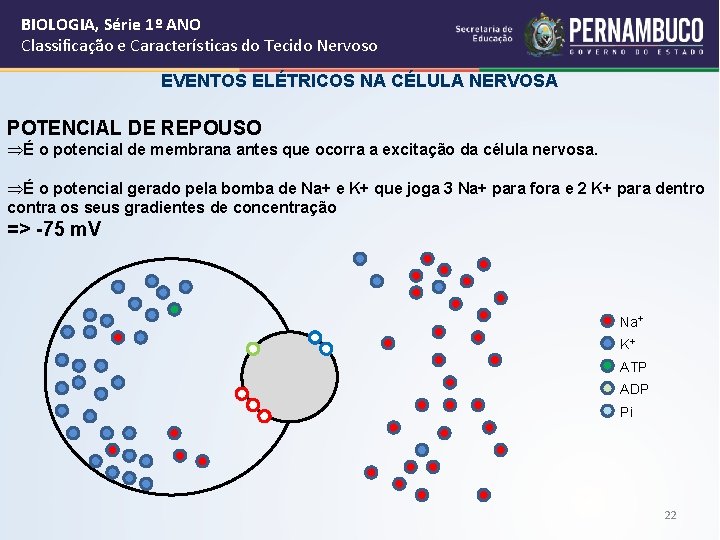 BIOLOGIA, Série 1º ANO Classificação e Características do Tecido Nervoso EVENTOS ELÉTRICOS NA CÉLULA