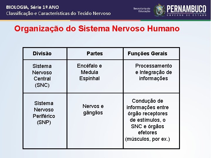 BIOLOGIA, Série 1º ANO Classificação e Características do Tecido Nervoso Organização do Sistema Nervoso