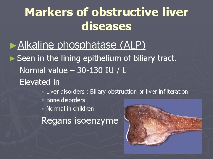 Markers of obstructive liver diseases ►Alkaline phosphatase (ALP) ► Seen in the lining epithelium