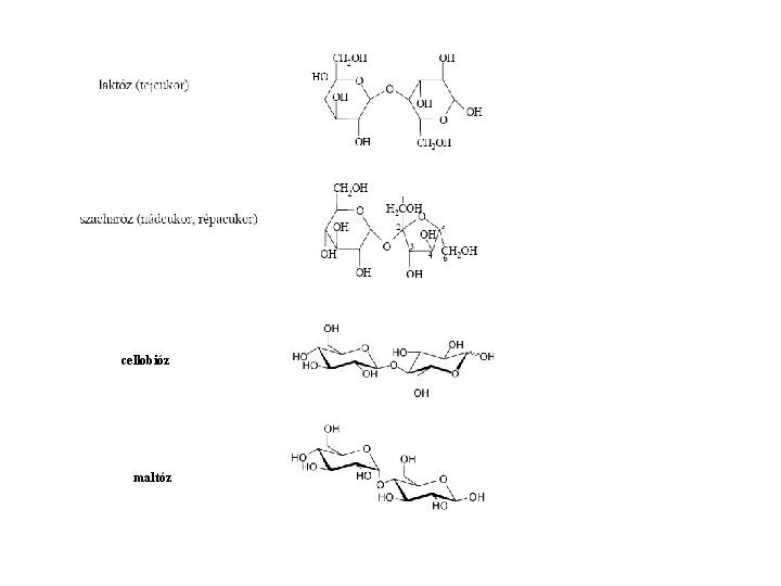cellobióz maltóz 