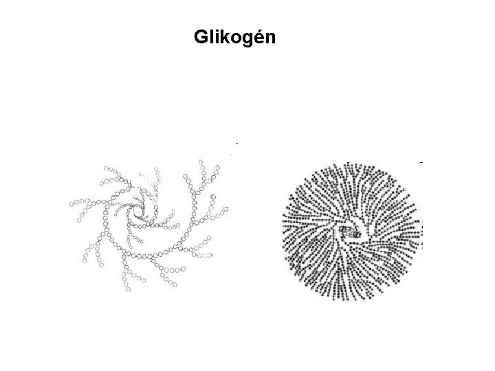Glikogén 