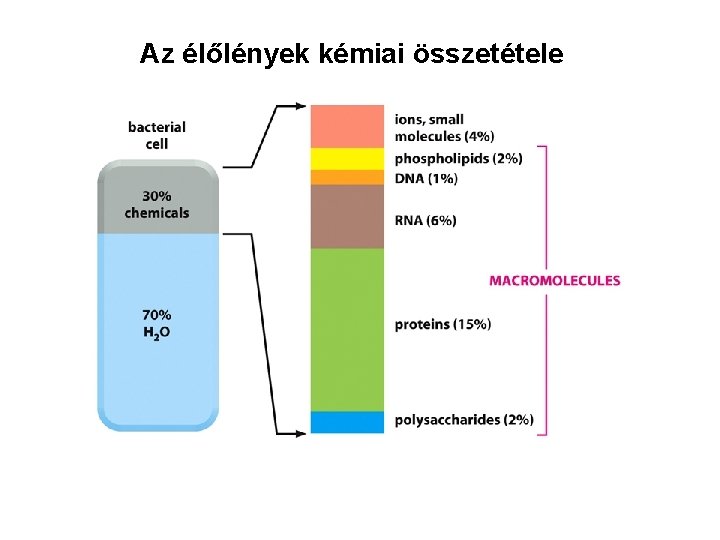 Az élőlények kémiai összetétele 