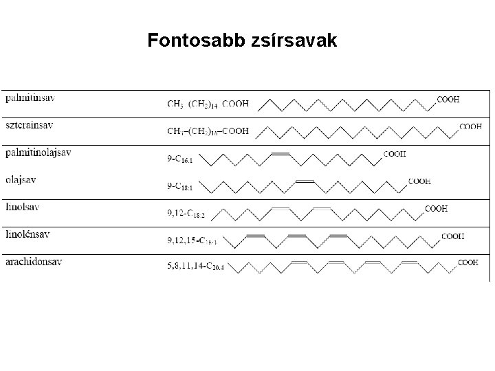 Fontosabb zsírsavak 