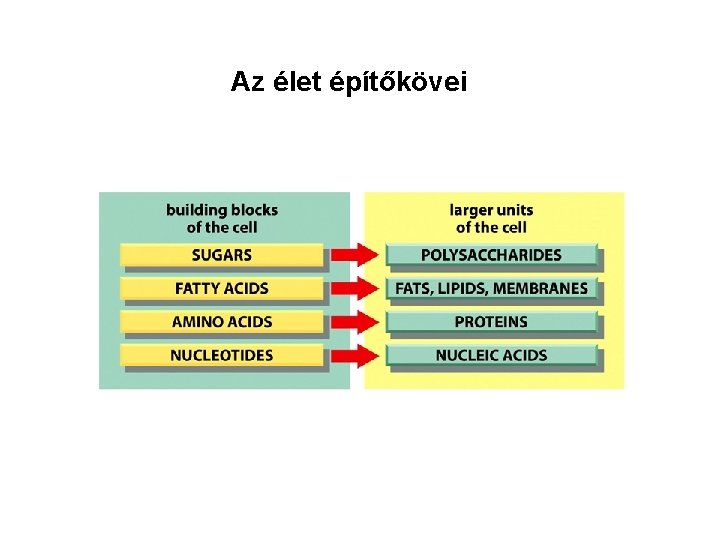 Az élet építőkövei 