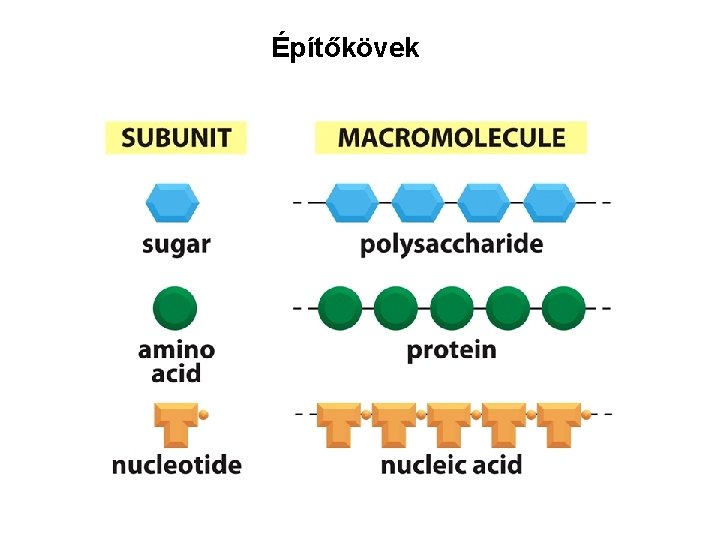 Építőkövek 