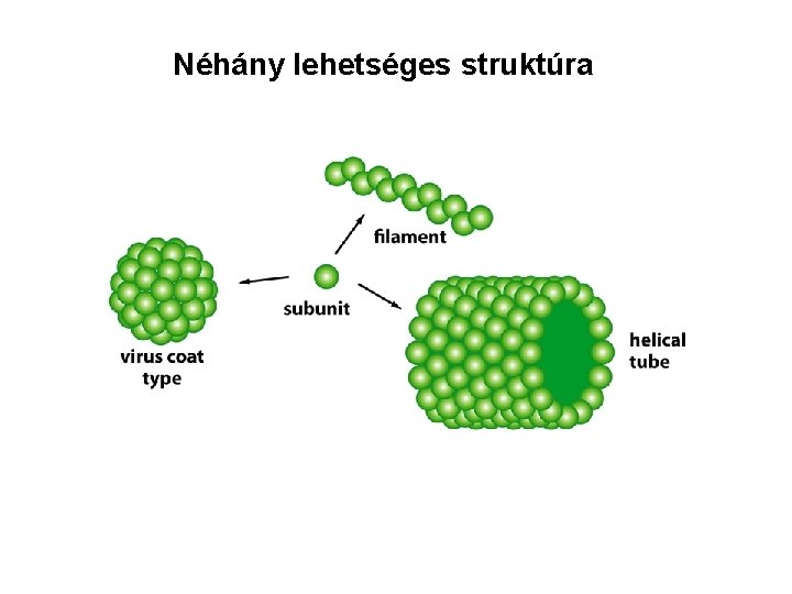 Néhány lehetséges struktúra 