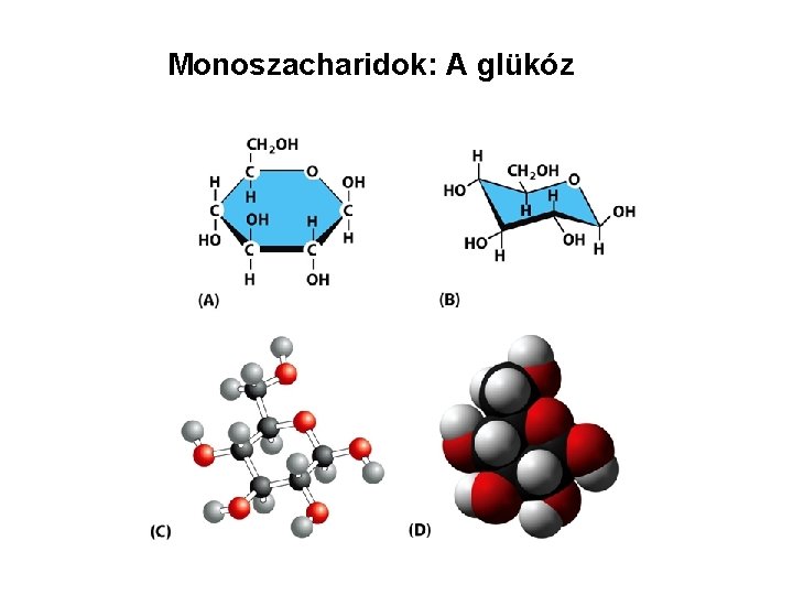 Monoszacharidok: A glükóz 