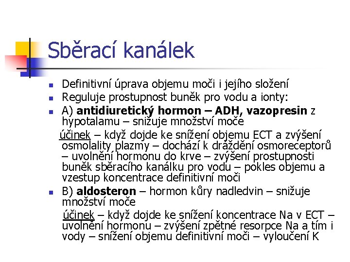 Sběrací kanálek n n Definitivní úprava objemu moči i jejího složení Reguluje prostupnost buněk