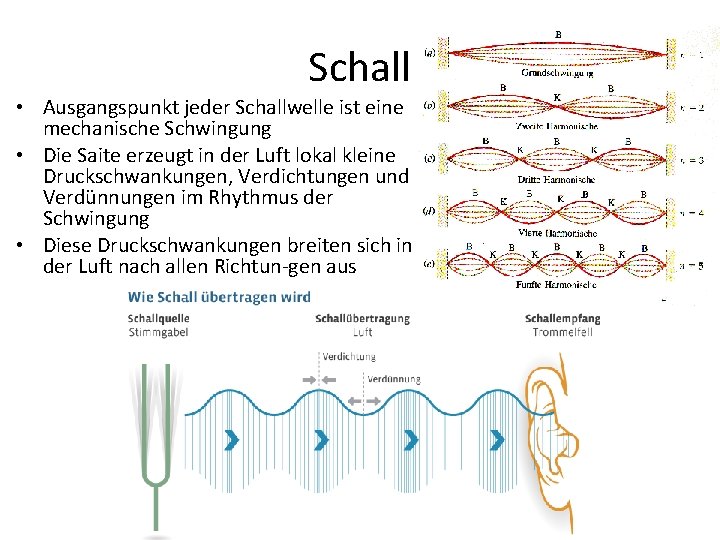 Schall • Ausgangspunkt jeder Schallwelle ist eine mechanische Schwingung • Die Saite erzeugt in