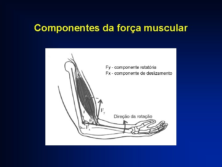 Componentes da força muscular 