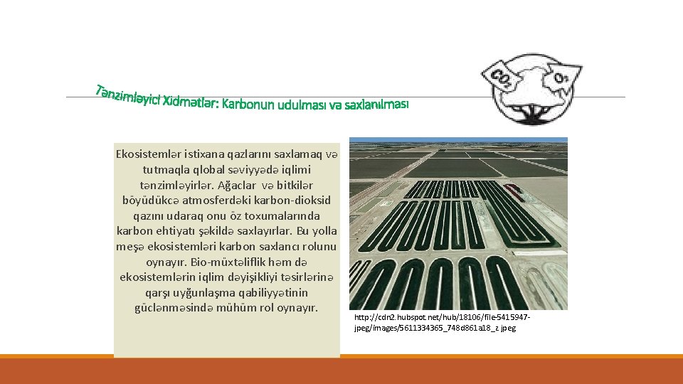 Ekosistemlər istixana qazlarını saxlamaq və tutmaqla qlobal səviyyədə iqlimi tənzimləyirlər. Ağaclar və bitkilər böyüdükcə