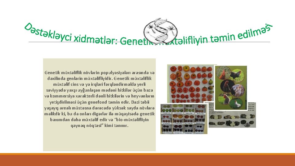 Genetik müxtəliflik növlərin populyasiyaları arasında və daxilində genlərin müxtəlifliyidir. Genetik müxtəliflik müxtəlif cins və