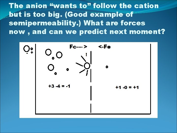 The anion “wants to” follow the cation but is too big. (Good example of