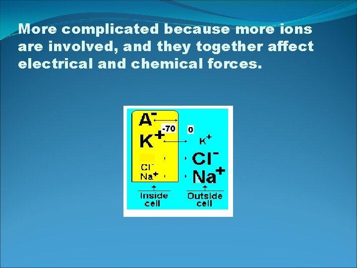 More complicated because more ions are involved, and they together affect electrical and chemical