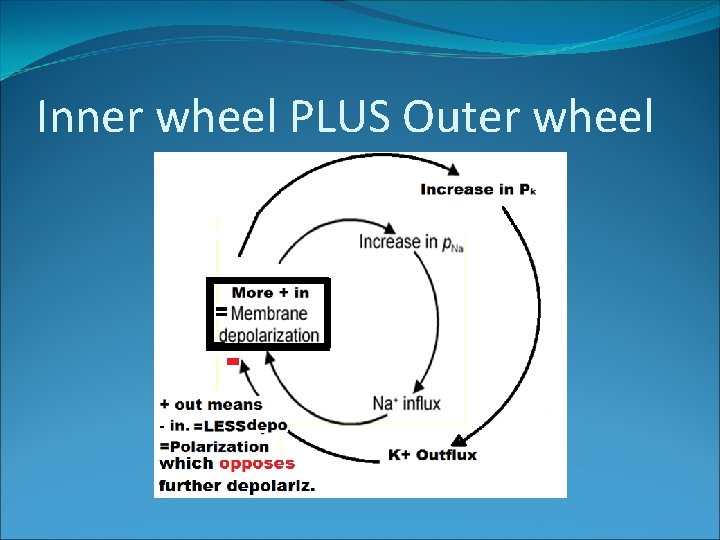 Inner wheel PLUS Outer wheel 