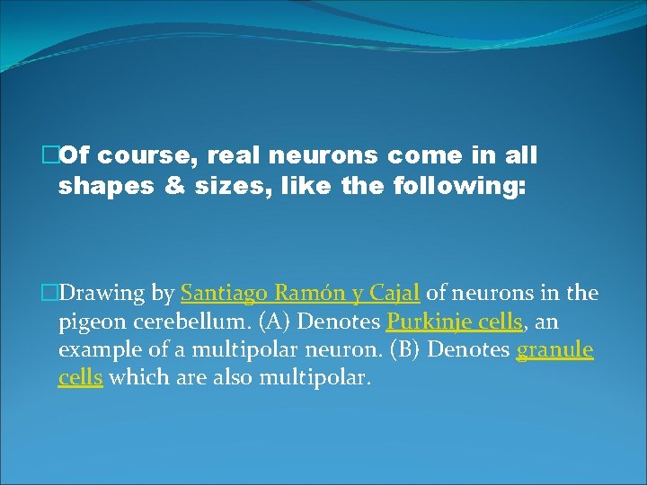 �Of course, real neurons come in all shapes & sizes, like the following: �Drawing