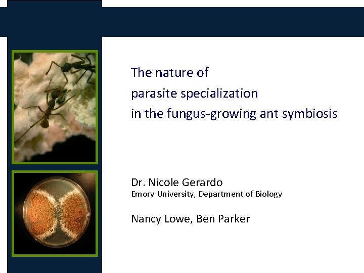 The nature of parasite specialization in the fungus-growing ant symbiosis Dr. Nicole Gerardo Emory