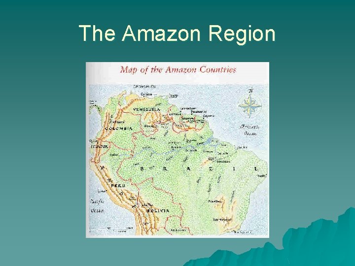 The Amazon Region 