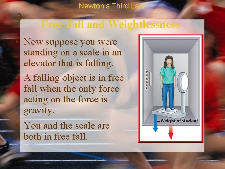 Newton’s Third Law 3 Free Fall and Weightlessness • Now suppose you were standing