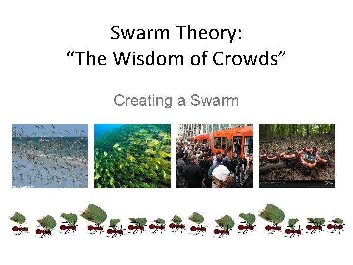 Swarm Theory: “The Wisdom of Crowds” Creating a Swarm 