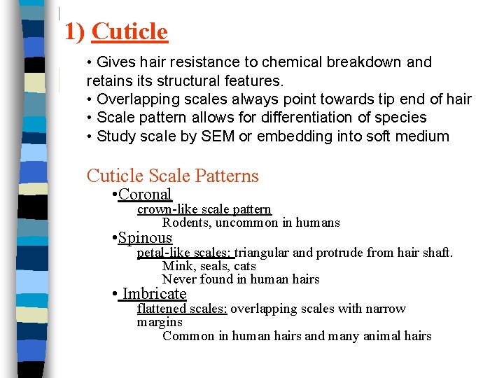 1) Cuticle • Gives hair resistance to chemical breakdown and retains its structural features. 1) Cuticle • Gives hair resistance to chemical breakdown and retains its structural features.