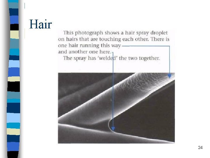 Hair 24 Hair 24