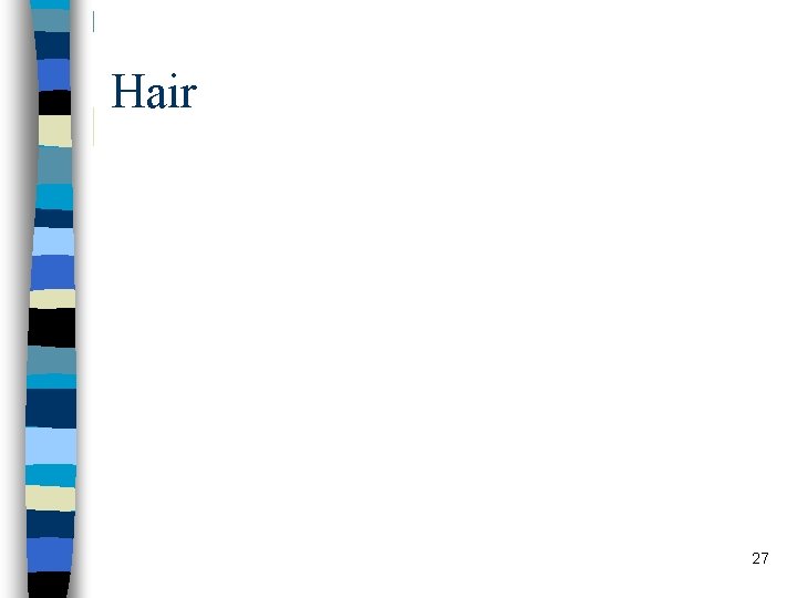 Hair 27 Hair 27