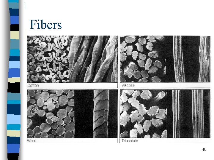 Fibers 40 Fibers 40
