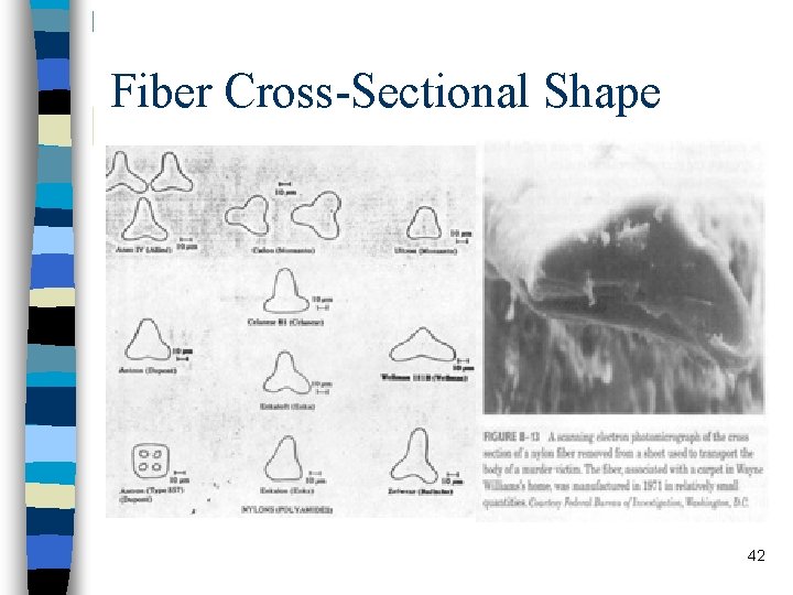 Fiber Cross-Sectional Shape 42 Fiber Cross-Sectional Shape 42