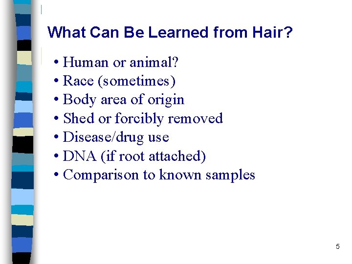 What Can Be Learned from Hair? • Human or animal? • Race (sometimes) • What Can Be Learned from Hair? • Human or animal? • Race (sometimes) •