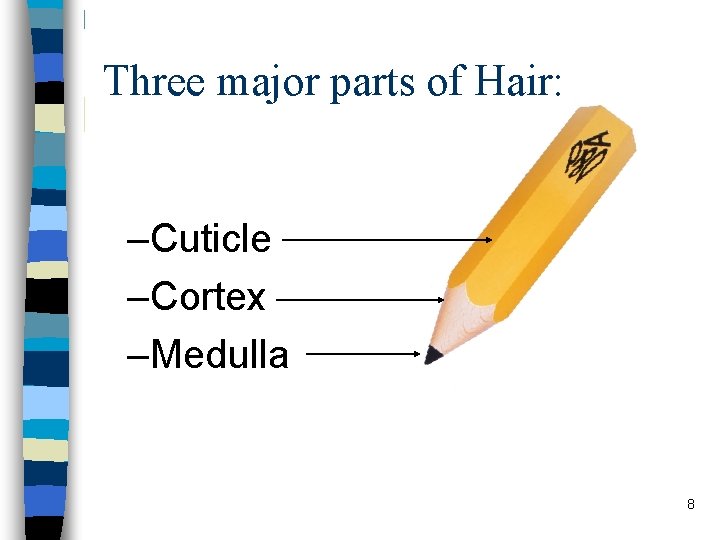 Three major parts of Hair: –Cuticle –Cortex –Medulla 8 Three major parts of Hair: –Cuticle –Cortex –Medulla 8