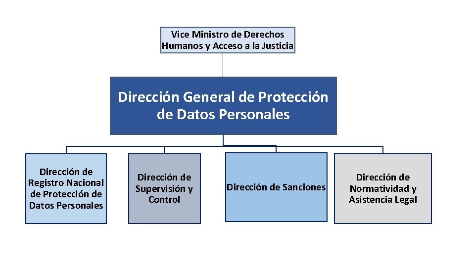 Vice Ministro de Derechos Humanos y Acceso a la Justicia Dirección General de Protección