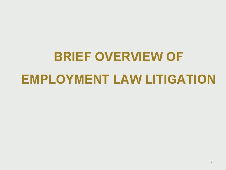 BRIEF OVERVIEW OF EMPLOYMENT LAW LITIGATION 7 BRIEF OVERVIEW OF EMPLOYMENT LAW LITIGATION 7
