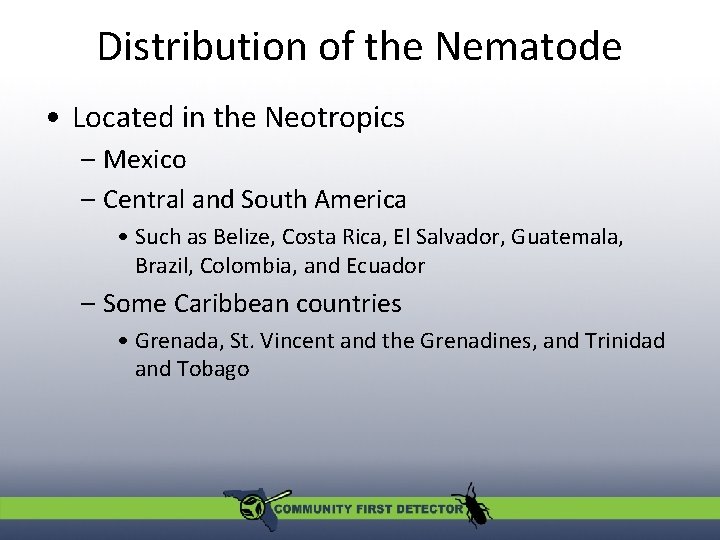Distribution of the Nematode • Located in the Neotropics – Mexico – Central and