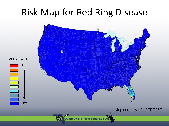 Risk Map for Red Ring Disease Risk Potential High Low Map courtesy of NAPPFAST.