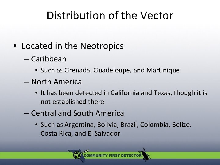 Distribution of the Vector • Located in the Neotropics – Caribbean • Such as