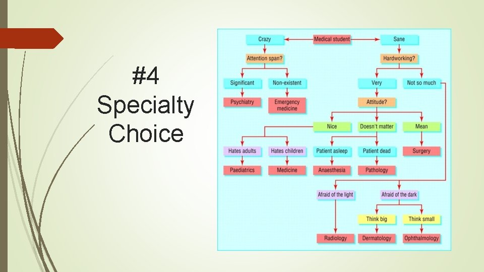 #4 Specialty Choice 