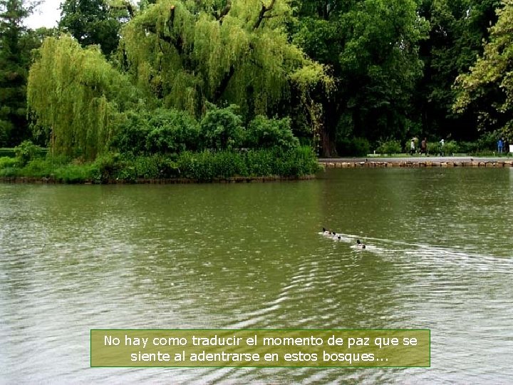 No hay como traducir el momento de paz que se siente al adentrarse en