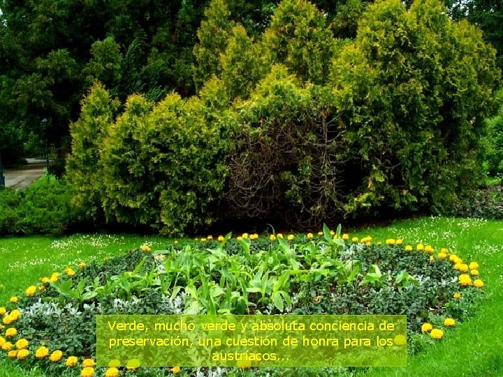 Verde, mucho verde y absoluta conciencia de preservación, una cuestión de honra para los