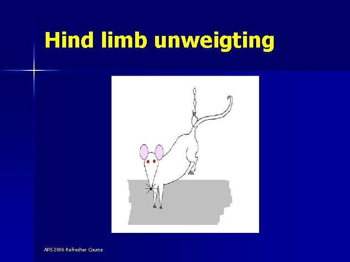 Hind limb unweigting APS 2006 Refresher Course 