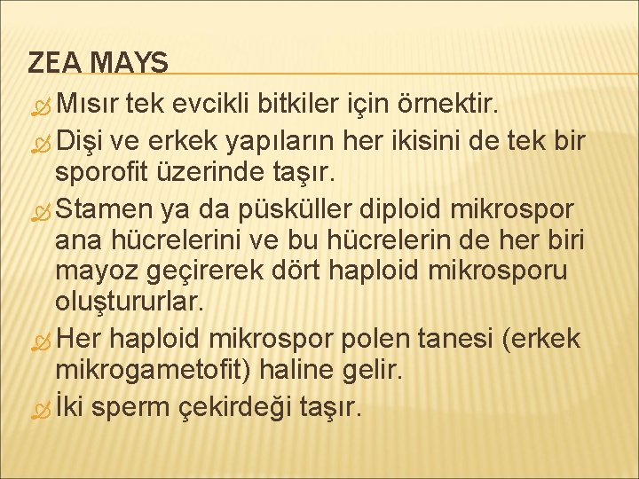 ZEA MAYS Mısır tek evcikli bitkiler için örnektir. Dişi ve erkek yapıların her ikisini