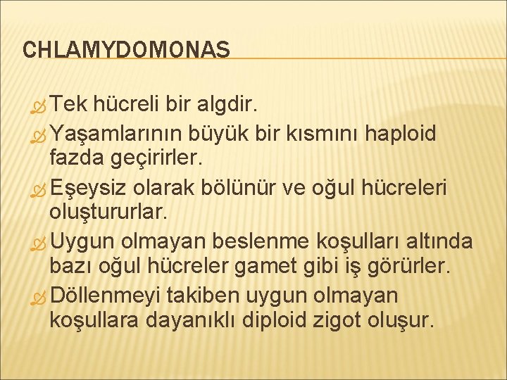 CHLAMYDOMONAS Tek hücreli bir algdir. Yaşamlarının büyük bir kısmını haploid fazda geçirirler. Eşeysiz olarak