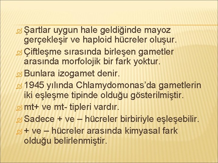  Şartlar uygun hale geldiğinde mayoz gerçekleşir ve haploid hücreler oluşur. Çiftleşme sırasında birleşen