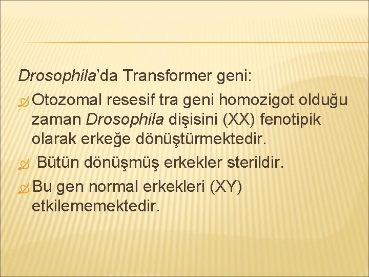 Drosophila’da Transformer geni: Otozomal resesif tra geni homozigot olduğu zaman Drosophila dişisini (XX) fenotipik