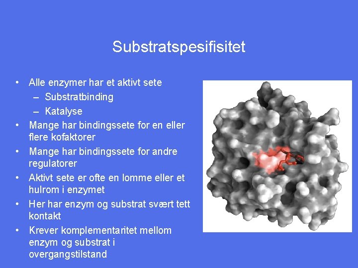 Substratspesifisitet • Alle enzymer har et aktivt sete – Substratbinding – Katalyse • Mange