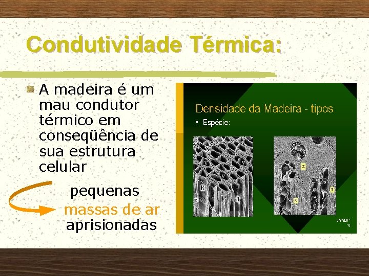 Condutividade Térmica: A madeira é um mau condutor térmico em conseqüência de sua estrutura