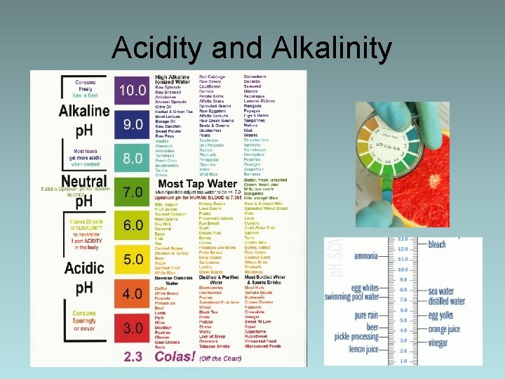 Acidity and Alkalinity 